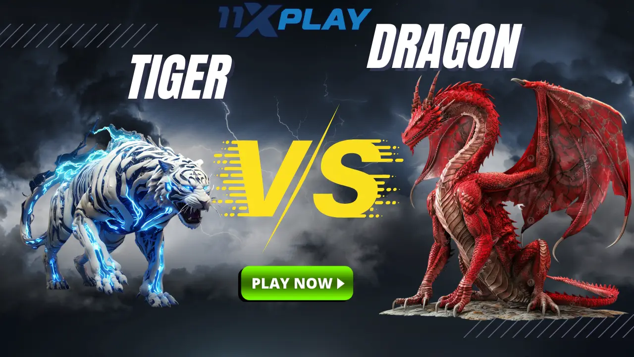 11xplay dragon and tiger